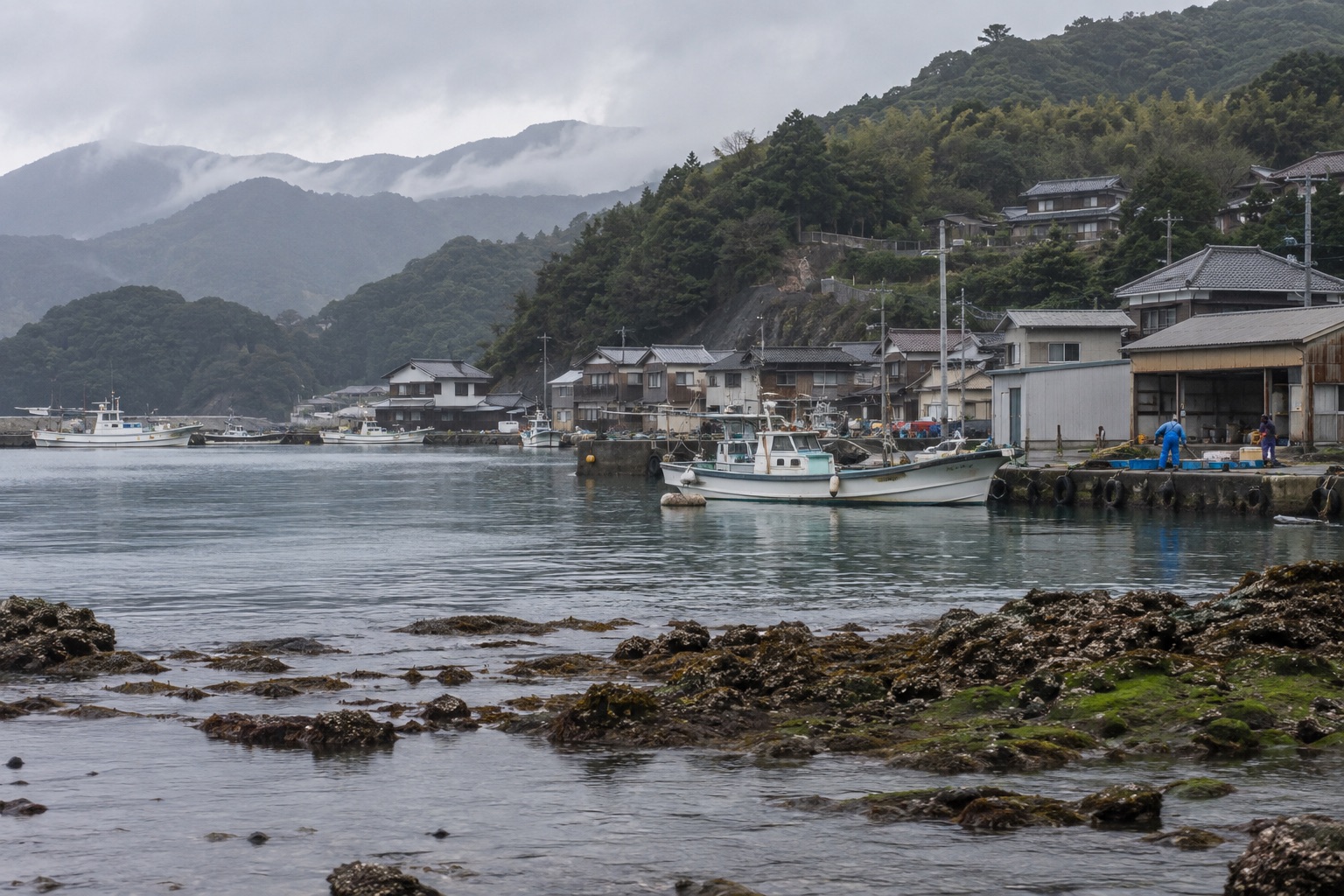 Editorial image of a coastal community, working boats and shoreline habitat